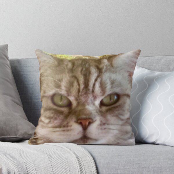 Item preview, “Mollycoddled” designed and sold by Angela Haig-Harrison.