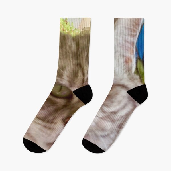 Item preview, “Mollycoddled” designed and sold by Angela Haig-Harrison.