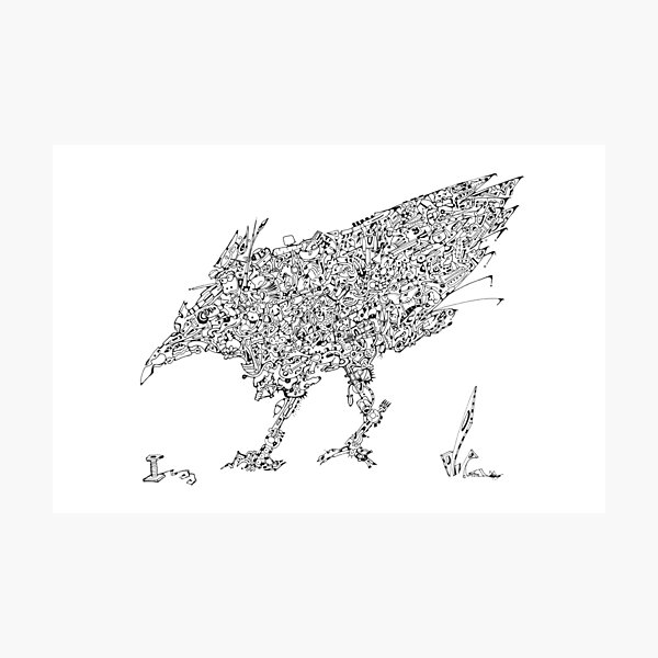 An Imagination Black bird Photographic Print