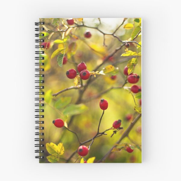 Item preview, Rosa canina designed and sold by Nigrita.