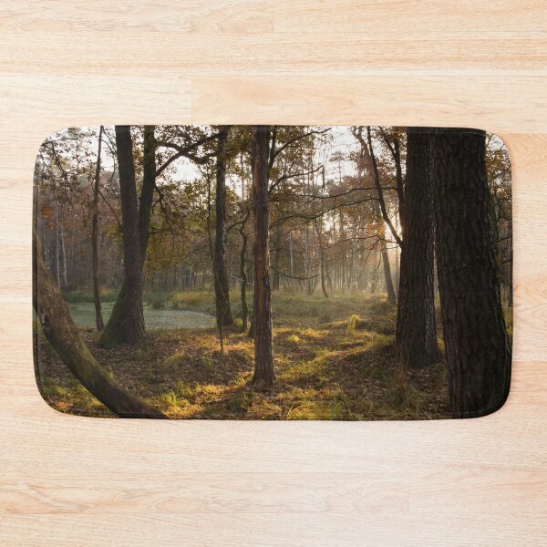 Item preview, sunny forest designed and sold by AidaArt.