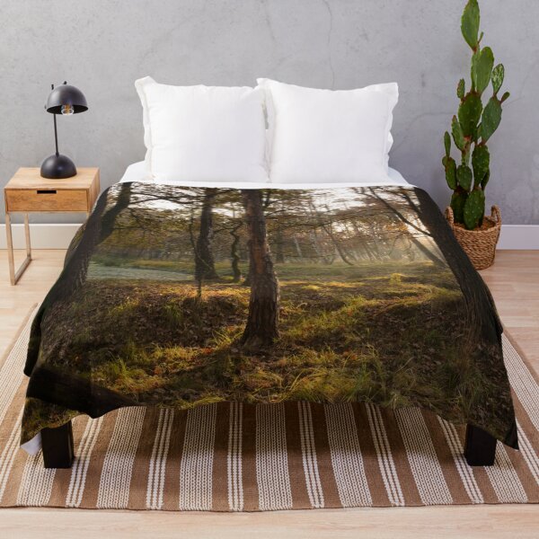 Item preview, sunny forest designed and sold by AidaArt.