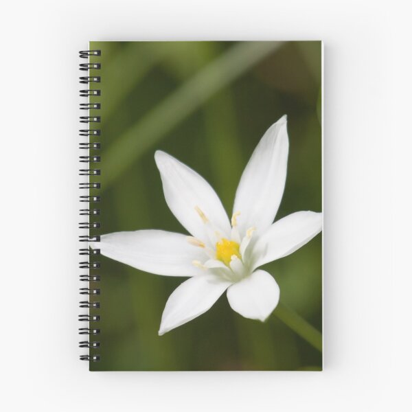 Item preview, Star Of Bethlehem designed and sold by EugeJ.