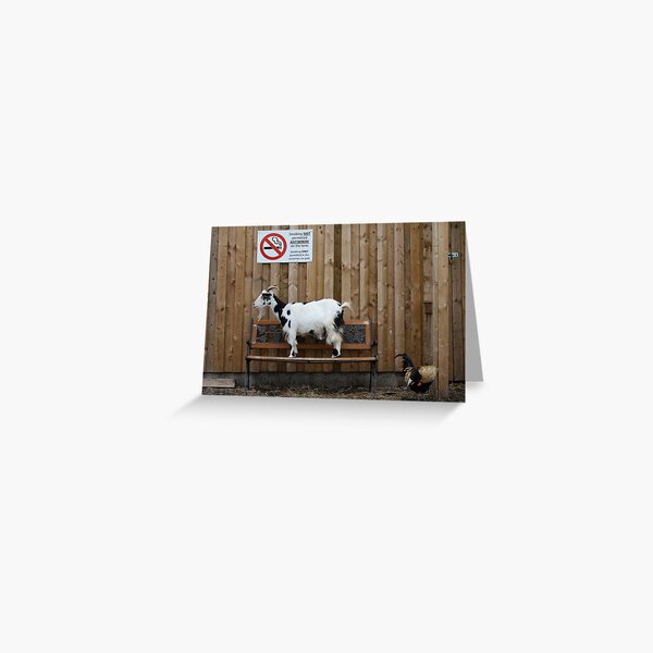 No Smoking Greeting Card