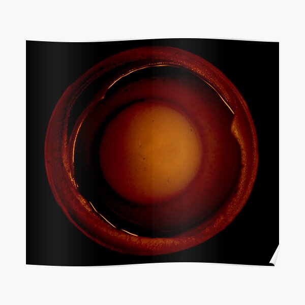 Red Light Poster