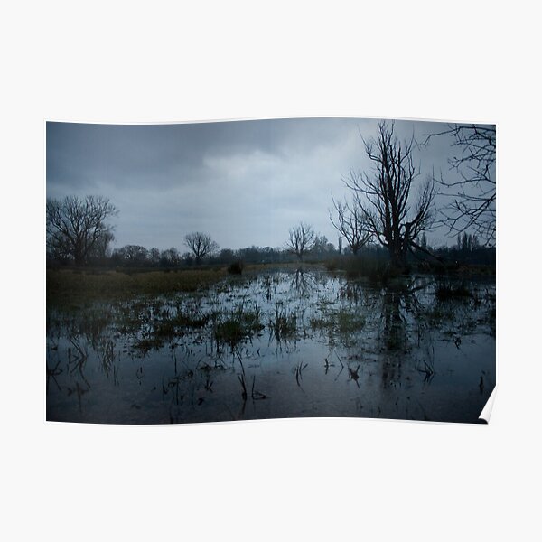 Untitled 6 Poster