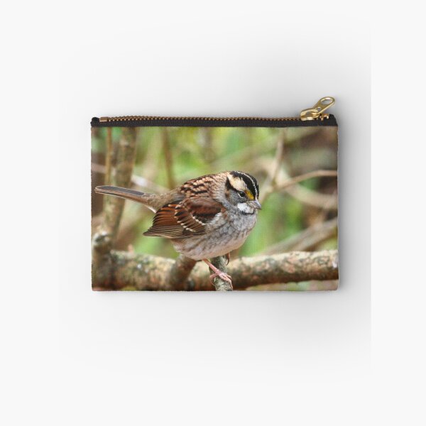 Item preview, White throated Sparrow designed and sold by Enola Gay Wagner.