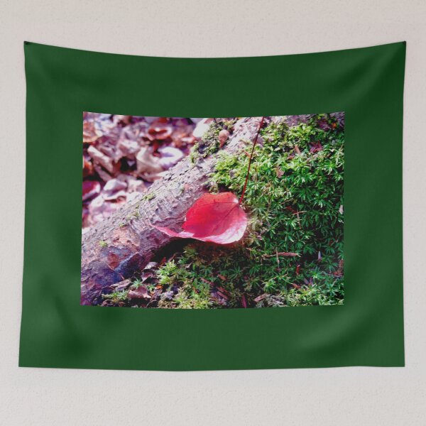 Artikelvorschau, Rotes Blatt auf Moos entworfen und verkauft von Shulie1.