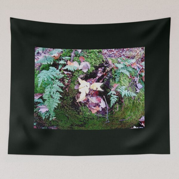 Item preview, Ferns and leaves  designed and sold by Shulie1.