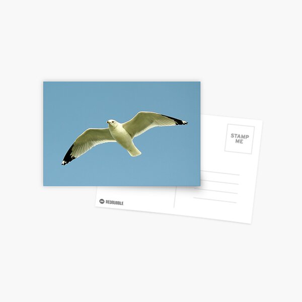 Item preview, Gull designed and sold by Paulette1021.