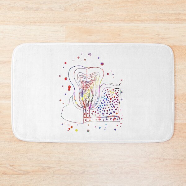 Item preview, Tooth, tooth anatomy designed and sold by Rosaliartbook.