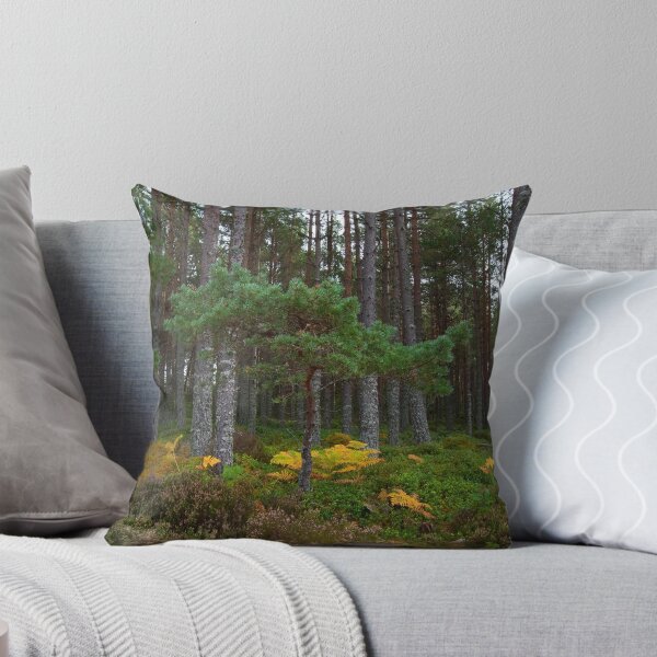 Item preview, Glenmore Forest Park Aviemore Scotland UK designed and sold by emergentdesigns.