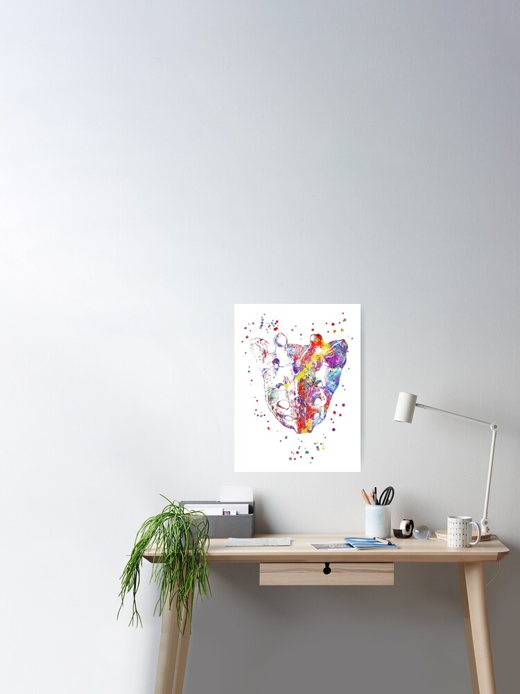 Sacrum and the Lumbar Spine, human anatomy, Sacrum anatomy, watercolor  Sacrum Throw Pillow for Sale by Rosaliartbook