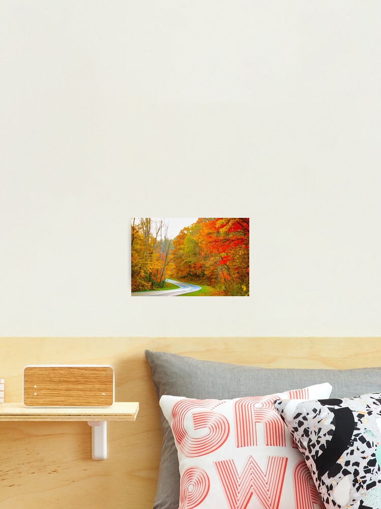 Thumbnail 2 of 3, Photographic Print, Blue Ridge Fall designed and sold by RShoko.