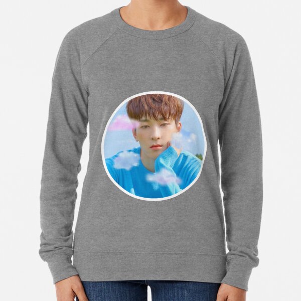 wonwoo sweater