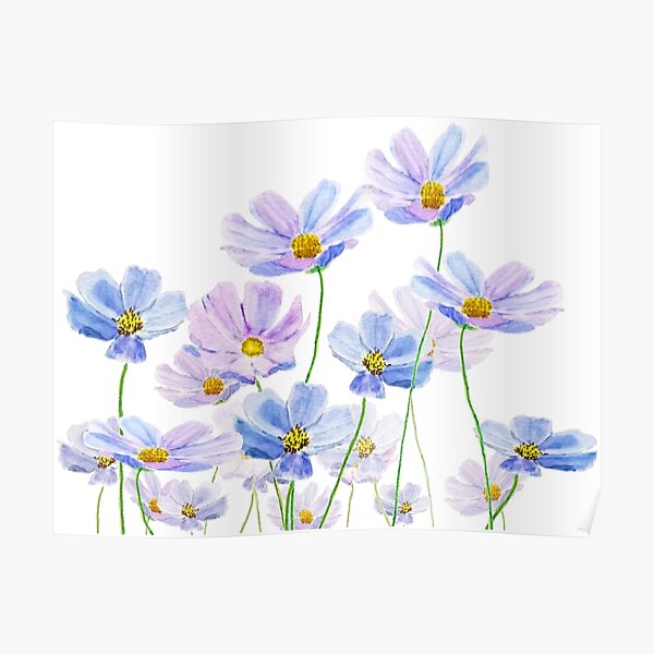 purple and blue cosmos flower watercolor Poster