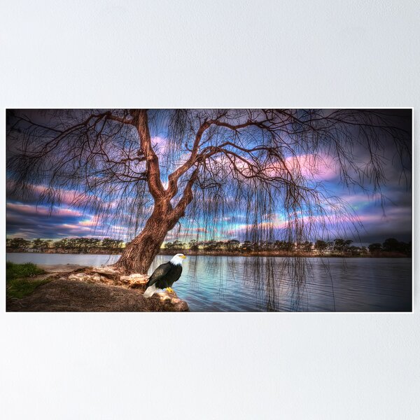 Item preview, Eagle Eye View designed and sold by Shannon Rogers.