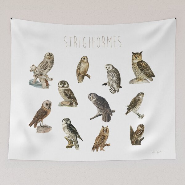 Item preview, Stringiformes Owls designed and sold by GlowinUp Shop.