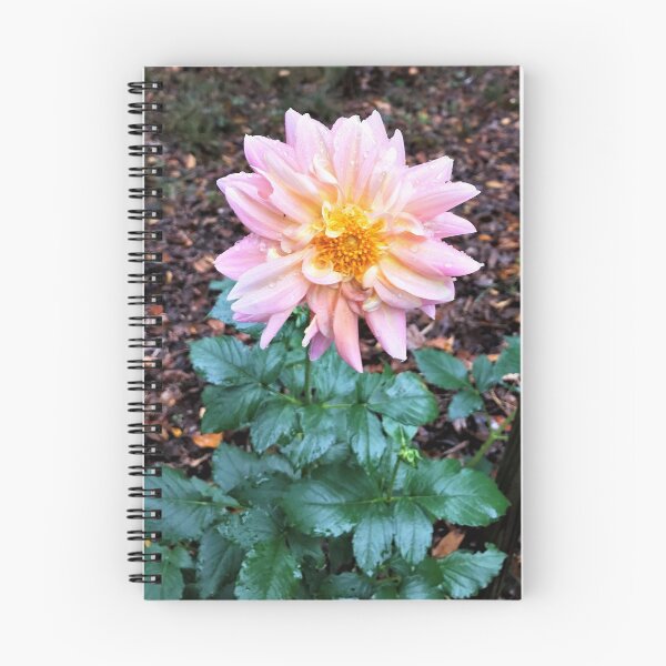 Item preview, Pretty in Pink designed and sold by Robin Kinnard.