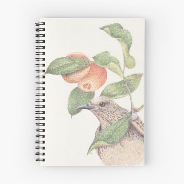 Item preview, Western Bowerbird designed and sold by Jocoart1.