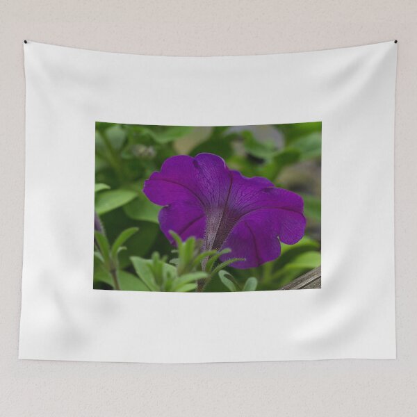 Item preview, Purple Passion designed and sold by Brenda Burnett.