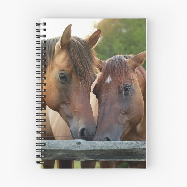 Artikelvorschau, Horsey Smooches entworfen und verkauft von StampCity.