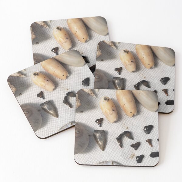 Item preview, beach treasures designed and sold by Amanda Huggins.