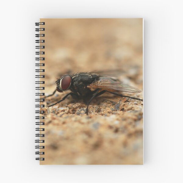 Item preview, Housefly designed and sold by StampCity.