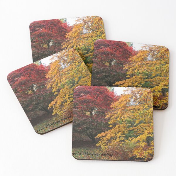 Item preview, Autumn Colours designed and sold by ellenmpics.