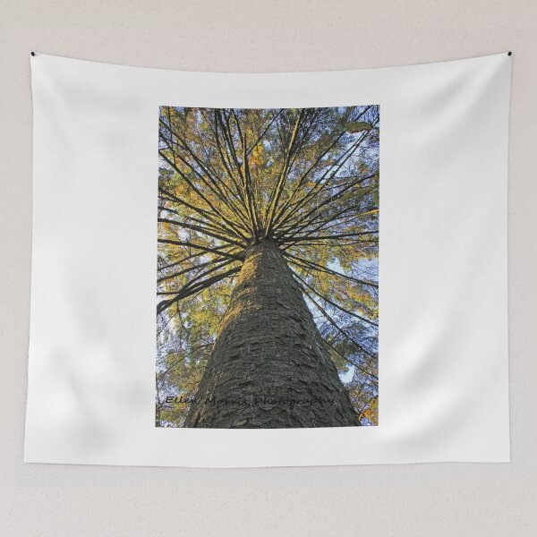 Item preview, Looking Up designed and sold by ellenmpics.