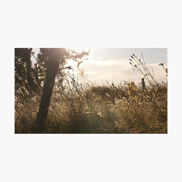 Peace and Quiet, and Open Air- is all i need Photographic Print