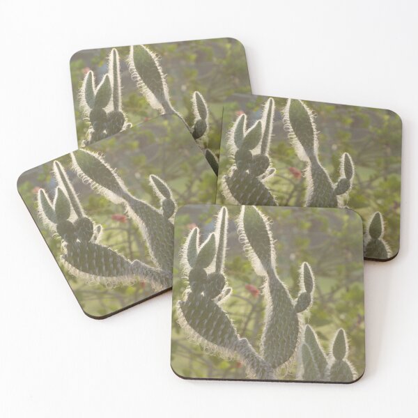 Item preview, Hairy Opuntia Cactus designed and sold by Zina Stromberg.