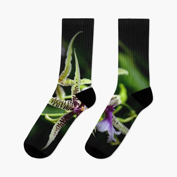 Item preview, YELLOW and PURPLE ORCHID, WALL ART, HOME DECOR designed and sold by Barbara Jean Photo Art And Design.