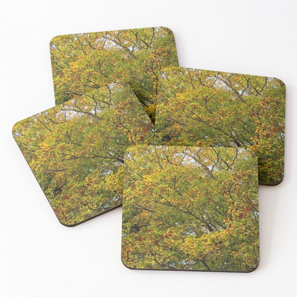 Item preview, Autumn Colours designed and sold by ellenmpics.