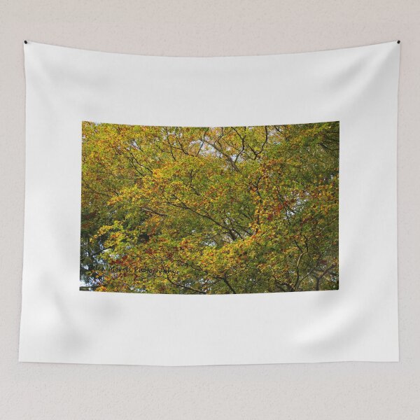Item preview, Autumn Colours designed and sold by ellenmpics.