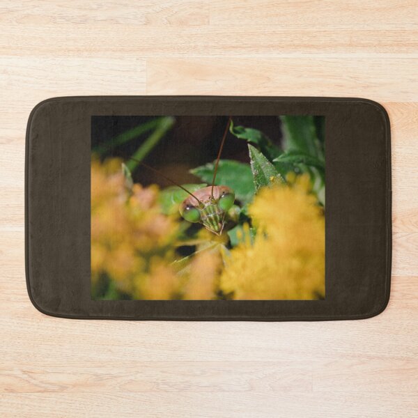 Item preview, Hide and Seek designed and sold by dlamb.