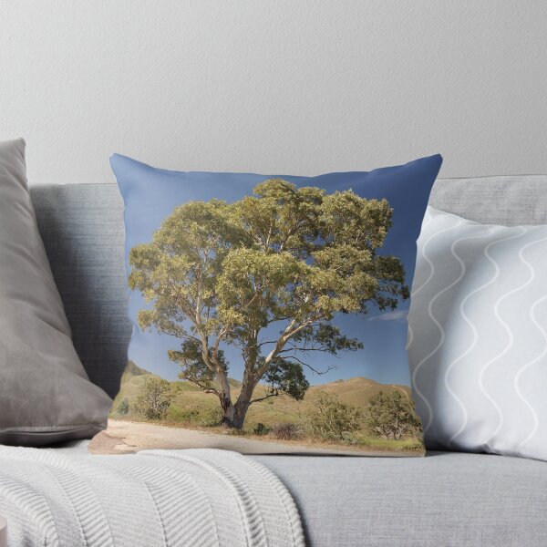 Aperçu de l'œuvre 20190904 Arbre 2, col Horrocks, autoroute Horrocks, SA créée et vendue par muz2142.