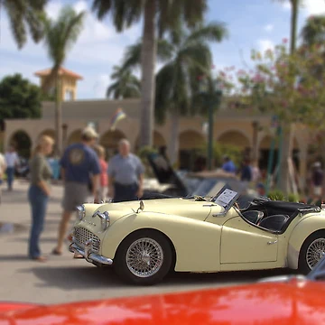 Artwork thumbnail, Boca Raton in Spring... by Larry Llewellyn