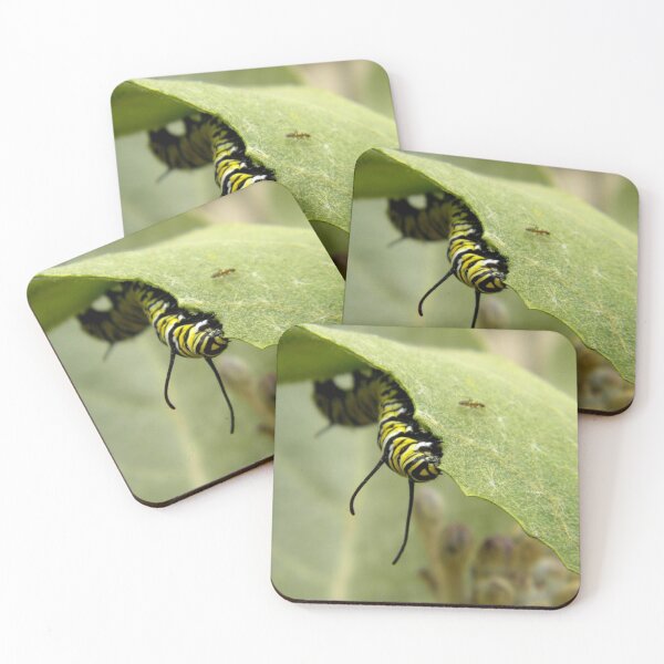 Item preview, The Munchies designed and sold by NatureRaven.