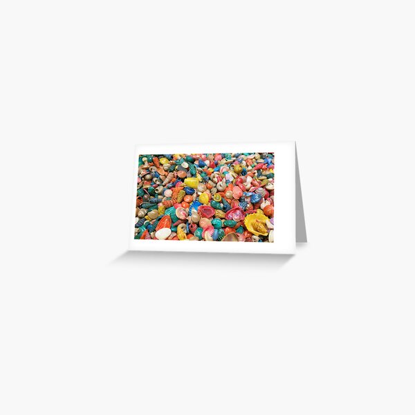 Seashells Greeting Card