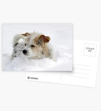 Just To Much Fun Postcards