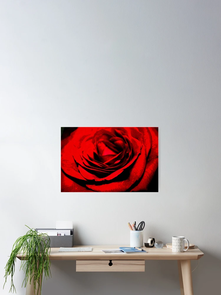 Thumbnail 2 of 3, Poster, Les Roses Sont Rouges designed and sold by Diana Cox.