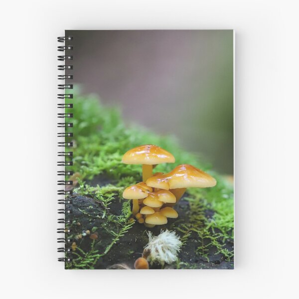 Artikelvorschau, Waldpilze entworfen und verkauft von Cosmic  Fox Photography.