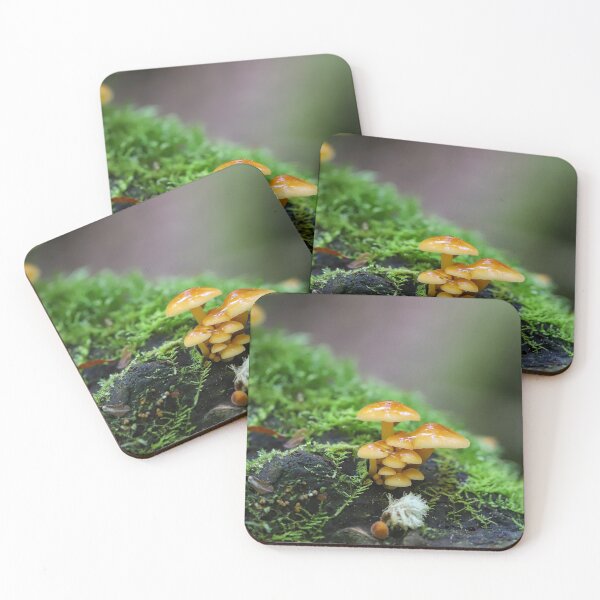 Item preview, Forest Fungi designed and sold by Cosmic  Fox Photography.
