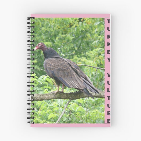 Item preview, Turkey Vulture designed and sold by hendrickssdh.