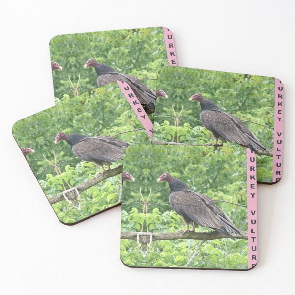 Item preview, Turkey Vulture designed and sold by hendrickssdh.