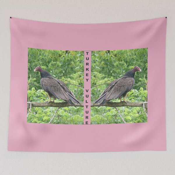 Item preview, Turkey Vulture designed and sold by hendrickssdh.