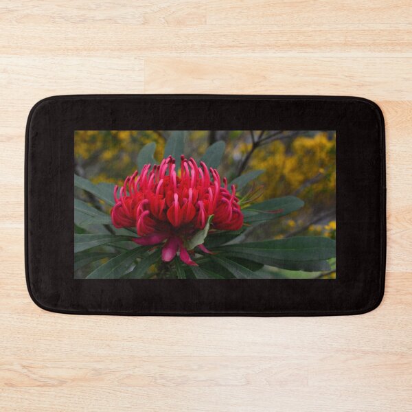 Item preview, Luminous Waratah - Mt Wilson NSW designed and sold by Bev Woodman.