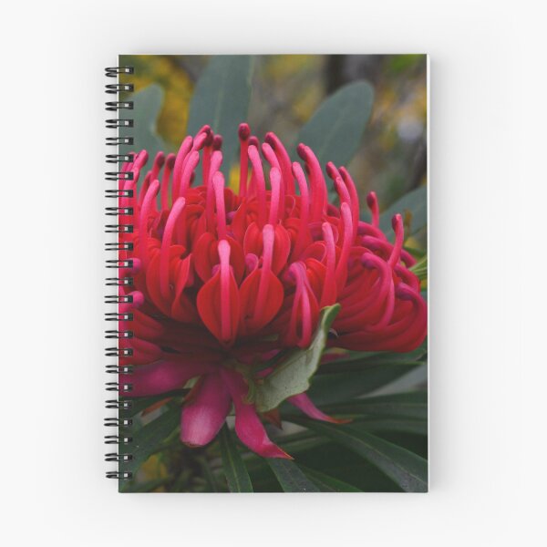 Item preview, Luminous Waratah - Mt Wilson NSW designed and sold by Bev Woodman.