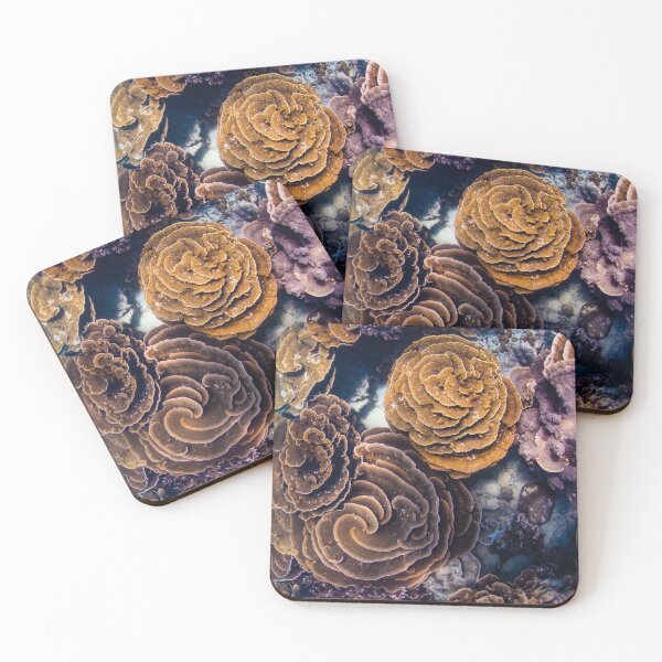 Item preview, coral gardens  designed and sold by Jesshaddenphoto.
